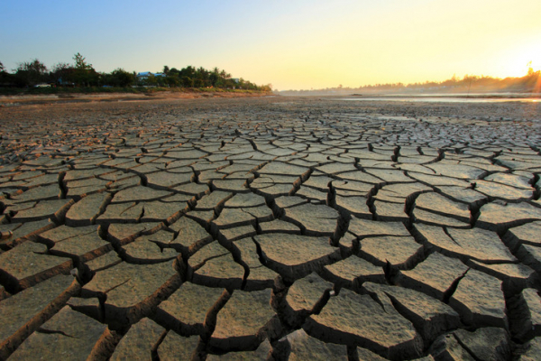 How to stay healthy during a drought